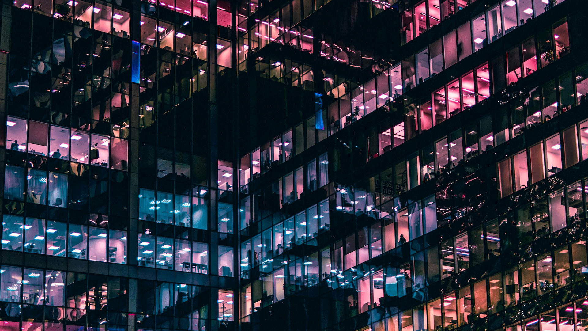 توسعه تجارت رادین